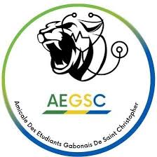 Logo AEG UEIN-SCIMD